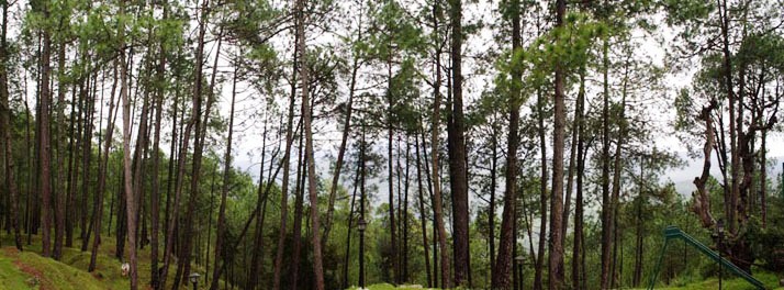 356/West View Hotel - Ranikhet 10.jpg